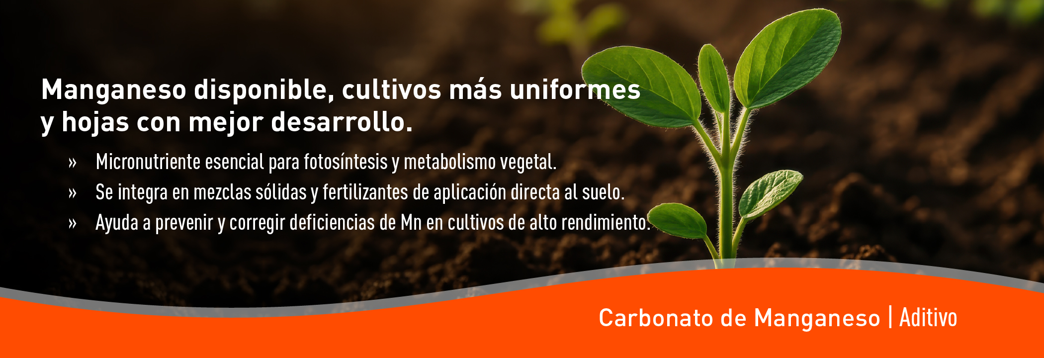 Carbonato de Manganeso_MAR26